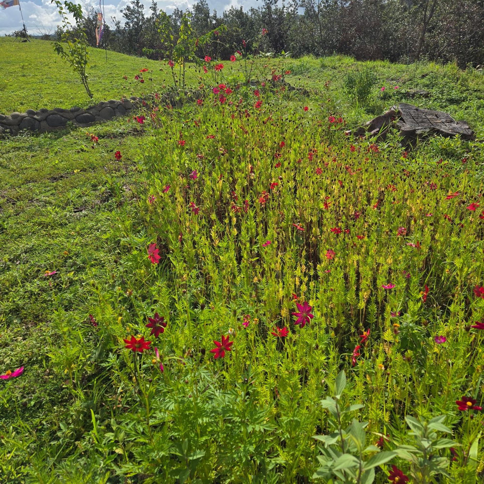 Hacienda En Los Volcanes Guayabo  Exteriér fotografie