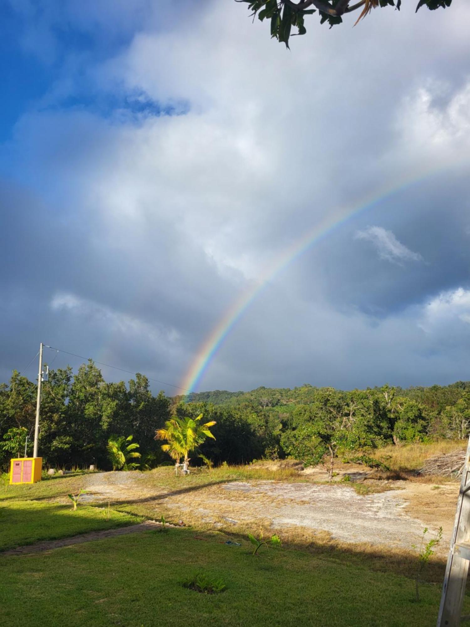 Hacienda En Los Volcanes Guayabo  Exteriér fotografie