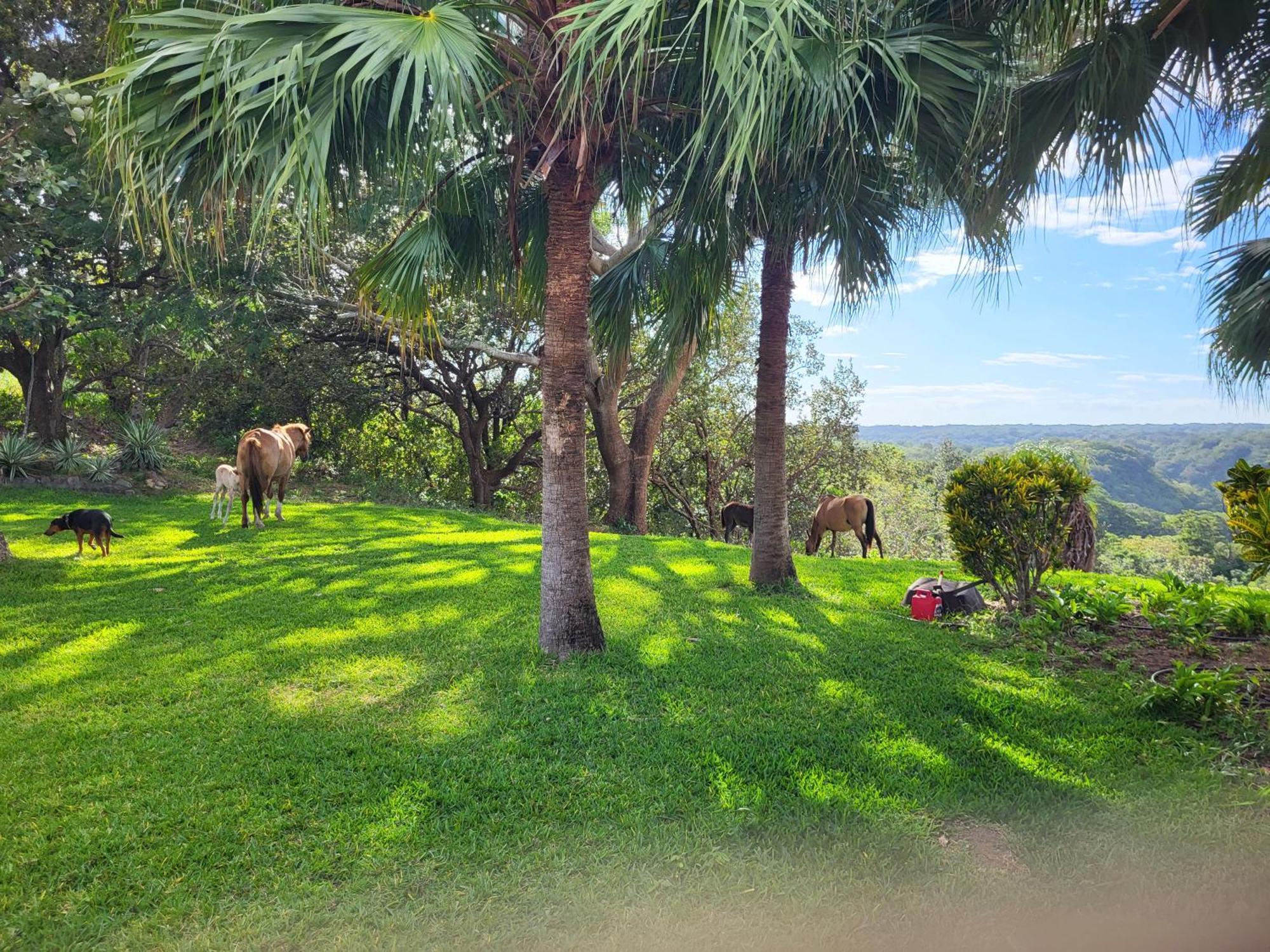 Hacienda En Los Volcanes Guayabo  Exteriér fotografie